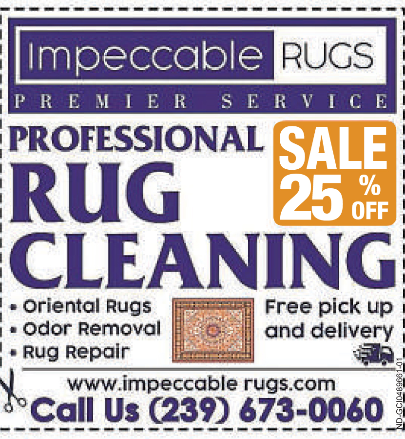 rug cleaning discount